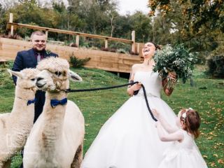 Bickley Mill Wedding (22)