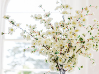Osborne Hotel Torquay Wedding Photographer (2) Osborne Hotel Torquay Wedding Photographer